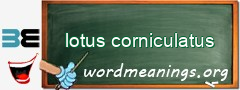 WordMeaning blackboard for lotus corniculatus